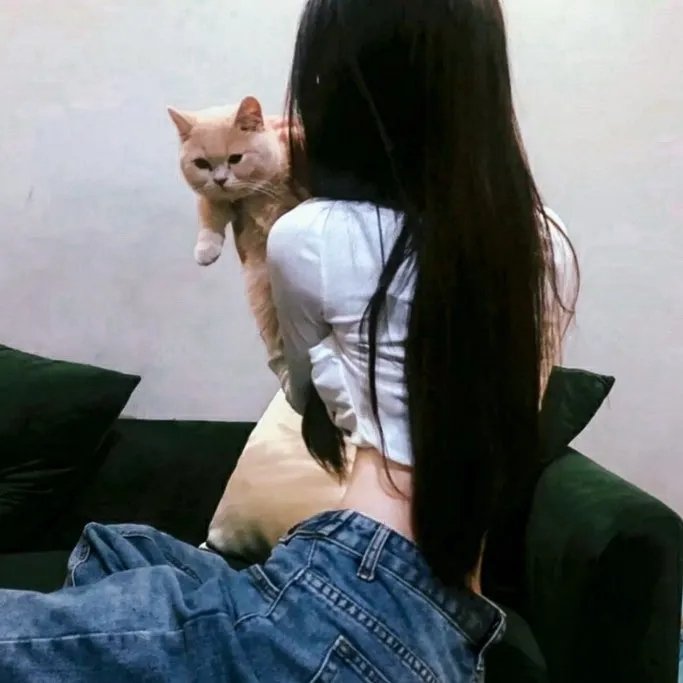 动物的秘密生活